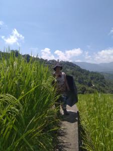 Rowena's Maligcong Homestay