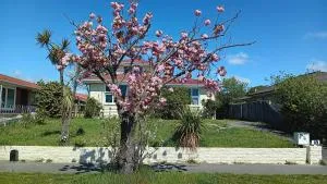 Homestay Double room Near city center - Linwood