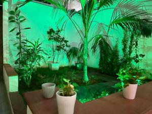 Casa Meravigghia terrazzo ,giardino e Jacuzzi