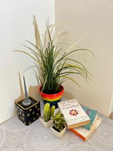 2 BHK Fully Apartment in Heart of Sharjah