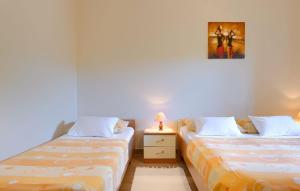 Beautiful Villa Parenzana with pool in Vizinada