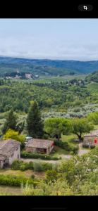 Il Fiorino di Badia