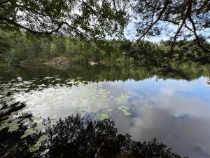 Villa Trollbäcken med bastu, värmegolv, öppen spis
