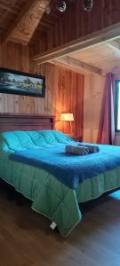 Hostel Calafquen Adventure Coñaripe