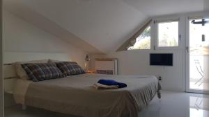 Roma - Casalpalocco - Amipsia