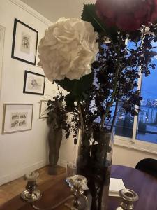 Vaste appt baigné de lumière