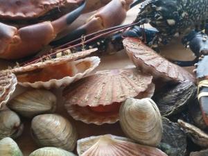 Villas Avel Mor Comfortable holiday residence : photos des chambres