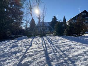 Kleines Berghaus - App 2