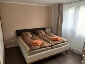 Papenbroock 2 Comfortable holiday residence