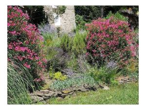 Maisons de vacances La Patouille Comfortable holiday residence : photos des chambres