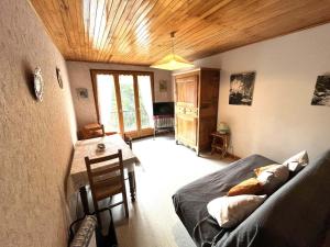 Charmant appartement 60m² à Autrans, animaux admis, parking inclus - FR-1-737-85