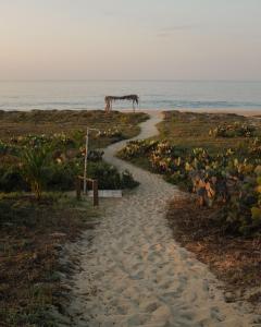 Dunas de Mayahuel
