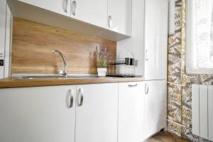 Large 2-BR Retreat, Walk to Sofias Top Spots