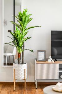 Title Halo Modern Line Pool View Gym Sauna