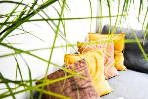 1BDR Quiet Str Vitoshka Area AC