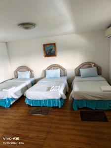 โคโคนัทโฮม รีสอร์ท