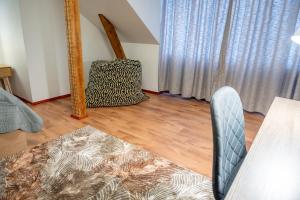 Dzirnavu central Apartament