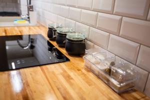 Dzirnavu central Apartament