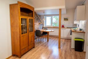 Dzirnavu central Apartament