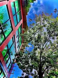 A Plus Deluxe Hotel - Ko Lipe