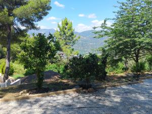 Appartements Studio dans Villa Don Quijote Nice : photos des chambres