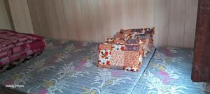 Bagwari House