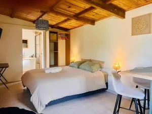 Studio avec vue sur le piton Langevin - Langevin