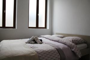 Lappart T2 centre ville Cantimpré - Cambrai