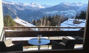 Superbe appartement rénové avec vue dégagée