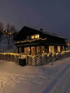 Oppdal ski in out 2 stuer 2 bad 4 sov nytt - Fagerhaug