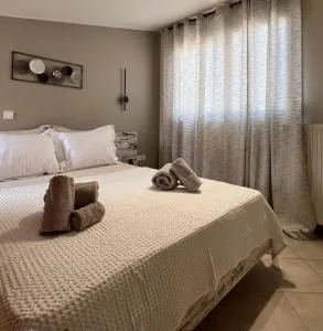 Αγρίνιο κέντρο ΔΣ, Δ1 - Krithária