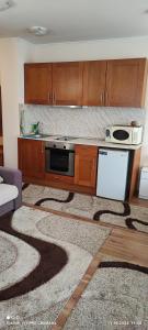 Gondola area, Cedar Lodge 4, apart D30, Bansko