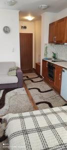 Gondola area, Cedar Lodge 4, apart D30, Bansko