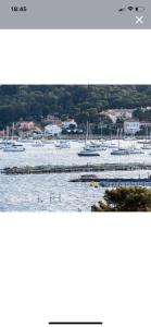 Studio avec vue mer et terrasse