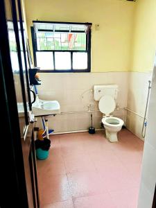 Himmat Guri Farmstead - Great place to chill with family