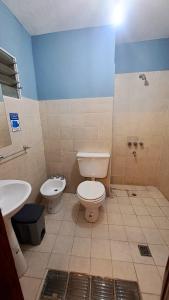 Virgen de Copacabana2