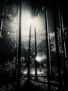 Himmat Guri Farmstead - Great place to chill with family