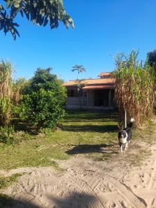 Casinha na Praia do Rosa