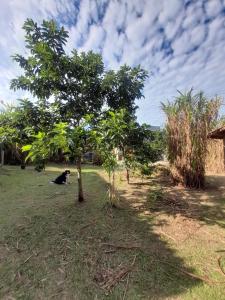 Casinha na Praia do Rosa