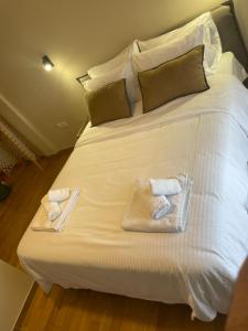 Acropolis Vicinity Penthouse