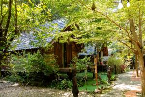 Khu Du Lich Sinh Thai Ako Ea Homestay Ako Ea