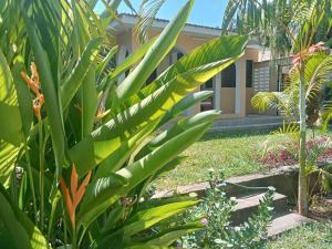 Kamsons villa accommodation