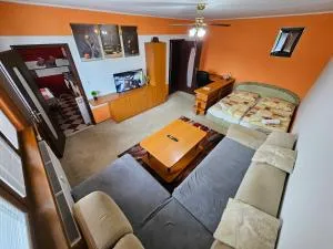 WOLF APARTMAN Pokojné ubytovanie v Považskej Bystrici Tichá lokalita s parkovaním Všade blízko Vhodné pre pracovné cesty turistiku aj oddych Plne vybavena kuchyňa - 普霍夫