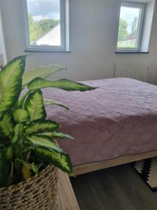 Charmante chambre bucolique - 2ᵉ en option