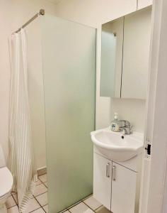 5 minute walk to LEGO house - n18 - studio room with private bathroom