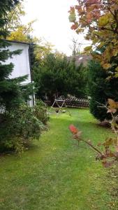 Blick-ueber-Hohegeiss