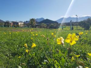 Luxury Pre-Pitched 2-4 Person Tent - Ubytování bez kategorie ve městě Tulbagh