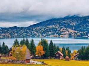 Căbănuța Busuioc Colibita