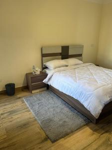 Luxury apartment in Sheikh Zayed