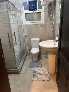 Luxury apartment in Sheikh Zayed